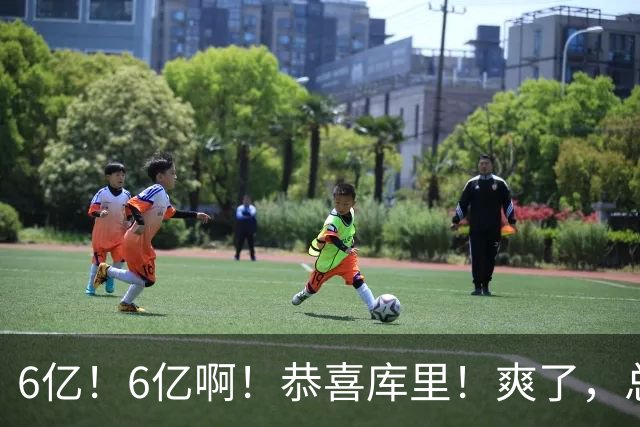 6亿！6亿啊！恭喜库里！爽了，总冠军没了...